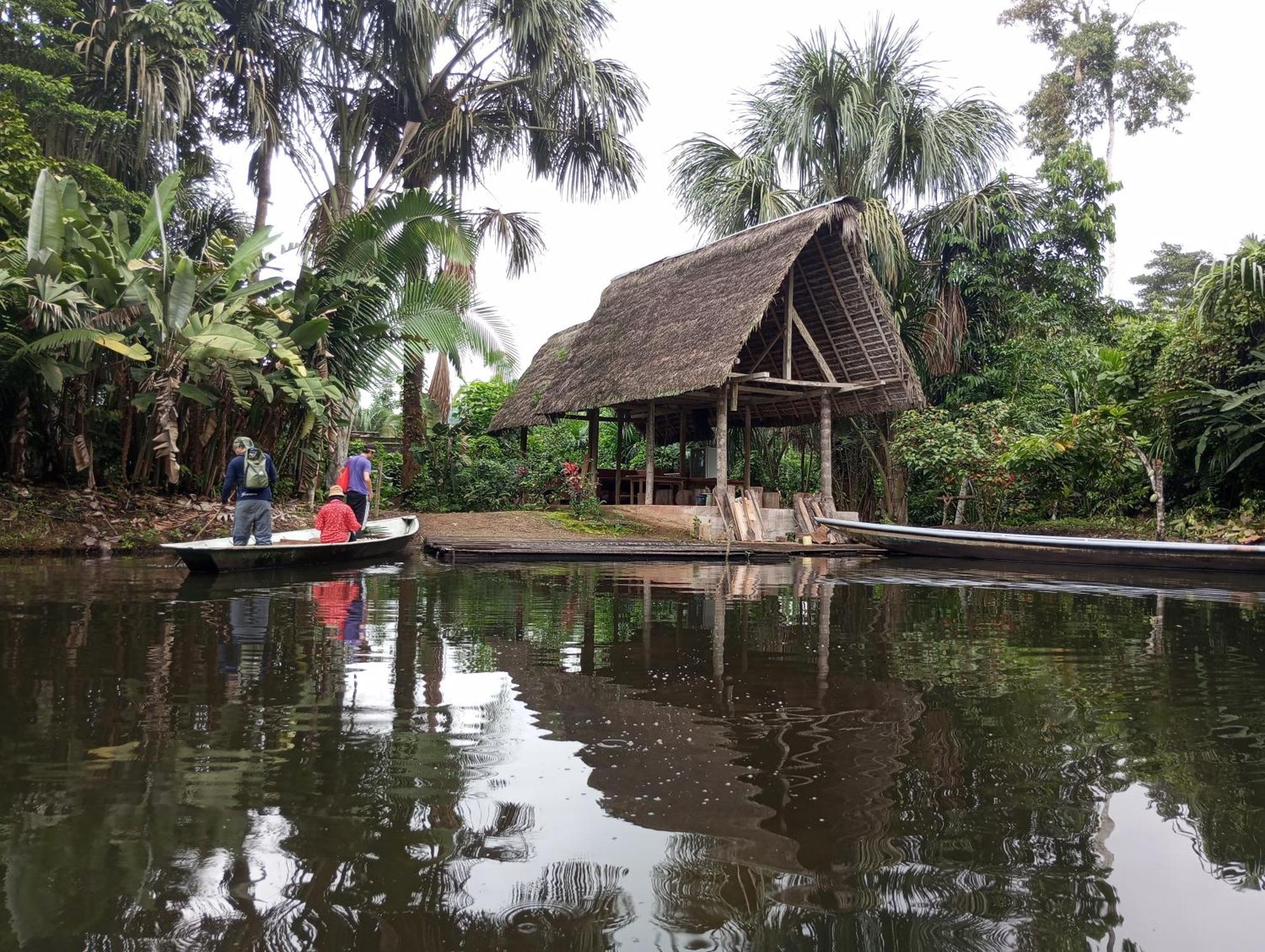 Misahualli Laguna Paikawe B&B מראה חיצוני תמונה