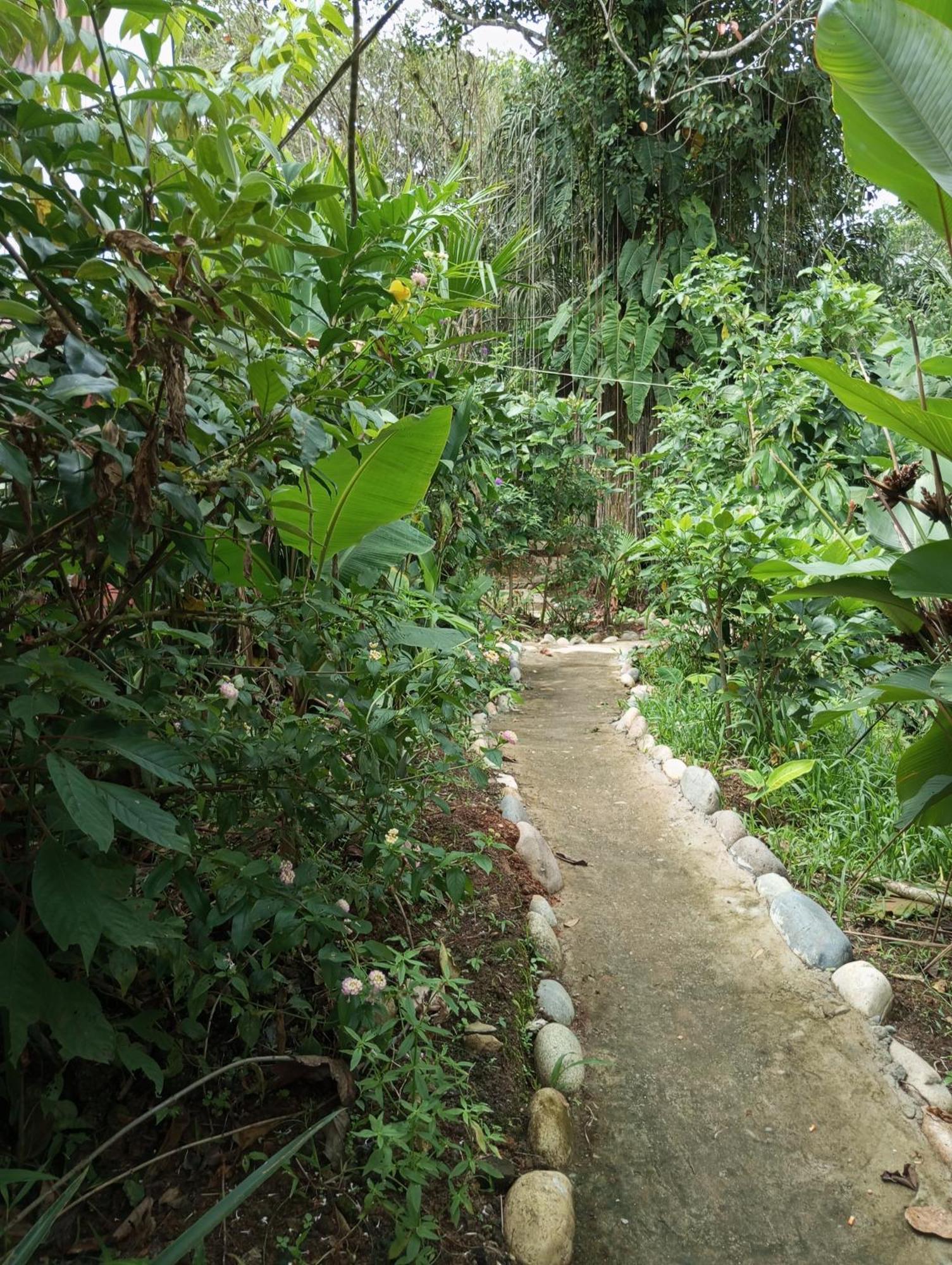 Misahualli Laguna Paikawe B&B מראה חיצוני תמונה