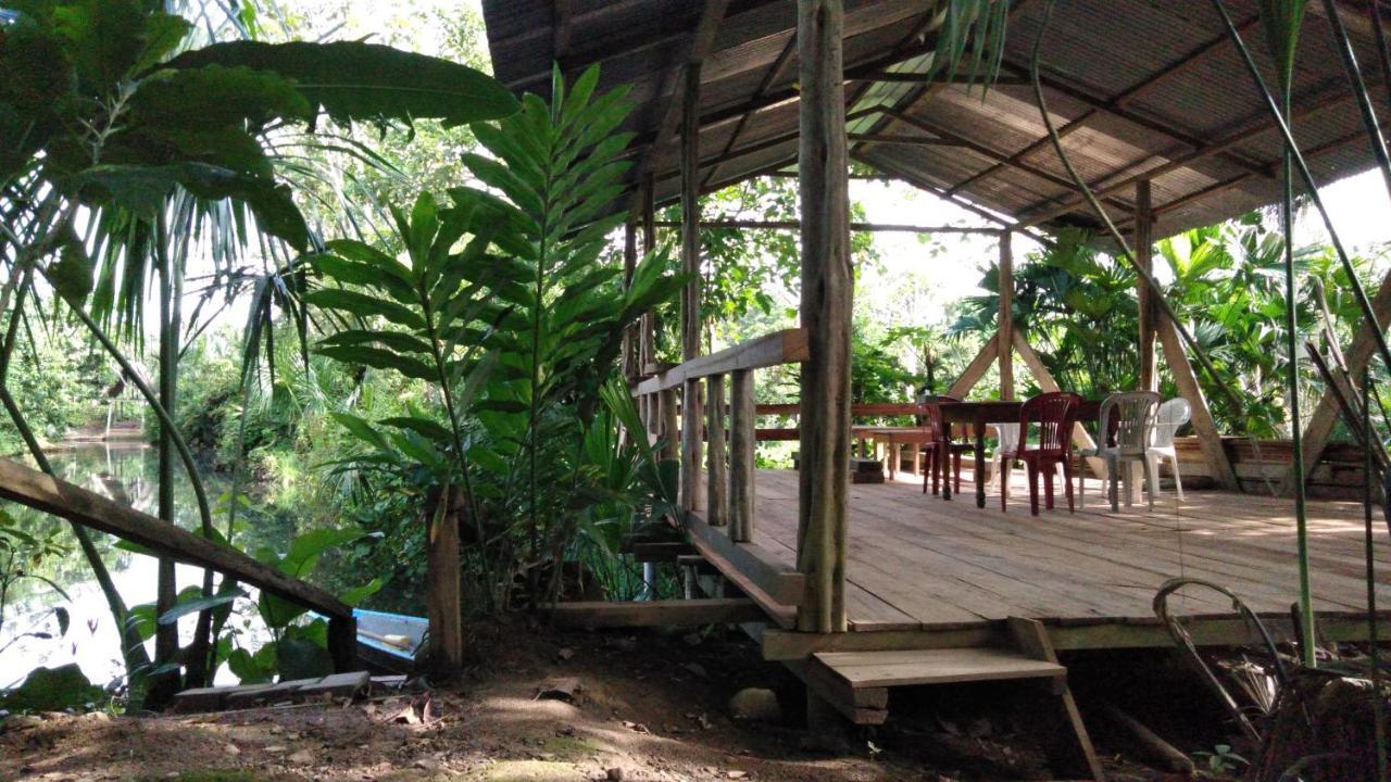 Misahualli Laguna Paikawe B&B מראה חיצוני תמונה