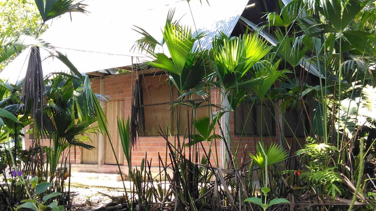 Misahualli Laguna Paikawe B&B מראה חיצוני תמונה