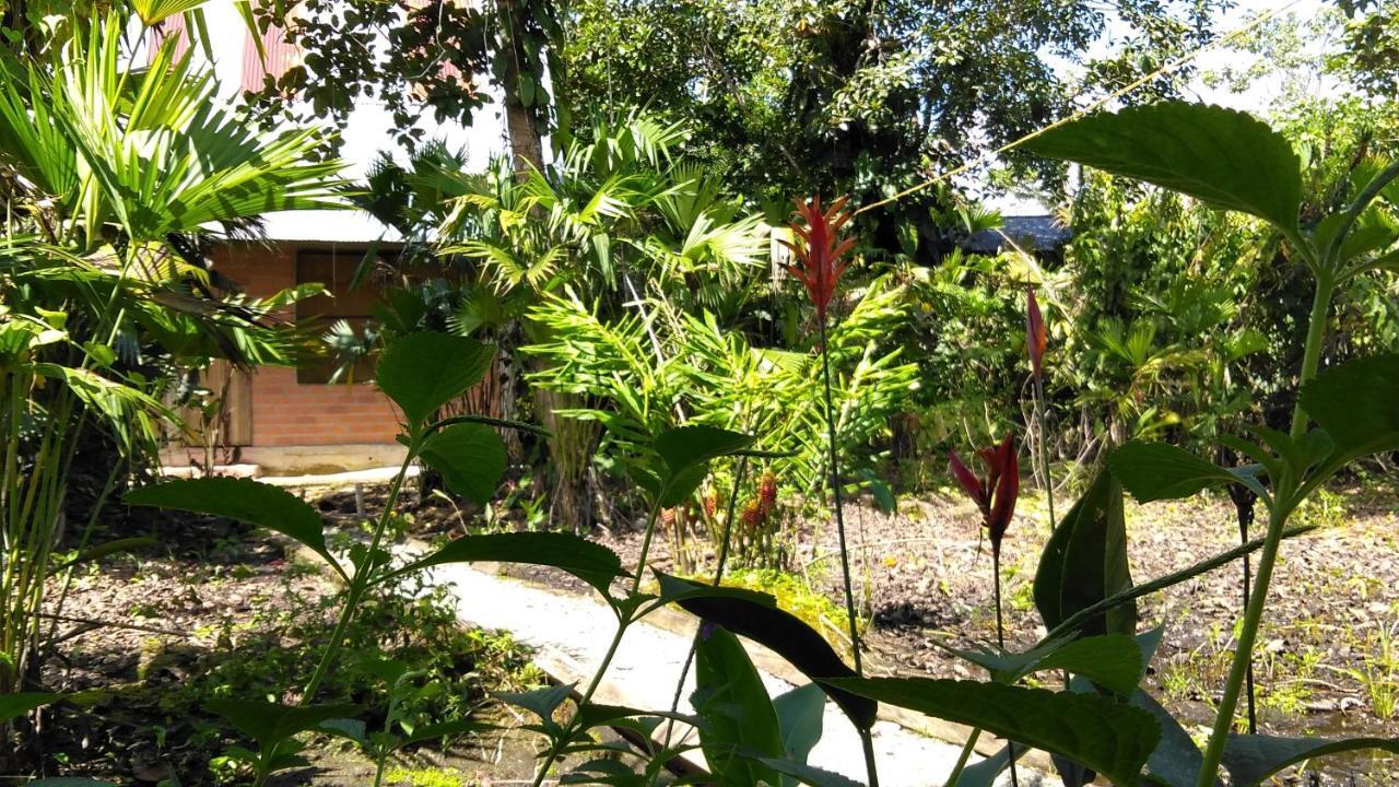 Misahualli Laguna Paikawe B&B מראה חיצוני תמונה