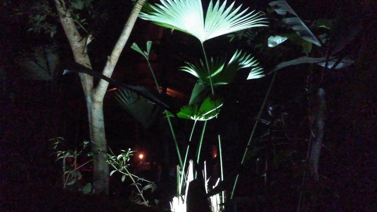 Misahualli Laguna Paikawe B&B מראה חיצוני תמונה